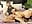 🔥 Real Sex (blowjob), doggy, black nylon #part 18🔥 - angel_eyees 님의 동영상