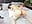 🔥Doggy, white nylon, ass hole #part 22🔥 - angel_eyees 님의 동영상