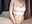 🔥Squirt test ;) (mobile version) #part 3gg664🔥 - angel_eyees 님의 동영상