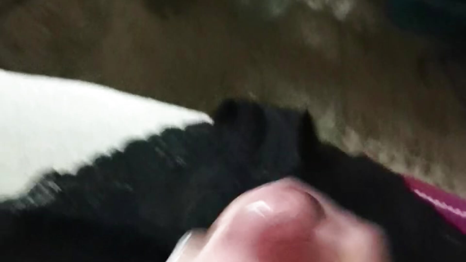 Cockring,Höschen besamt - Video von EightySixXxxl Cam-Model