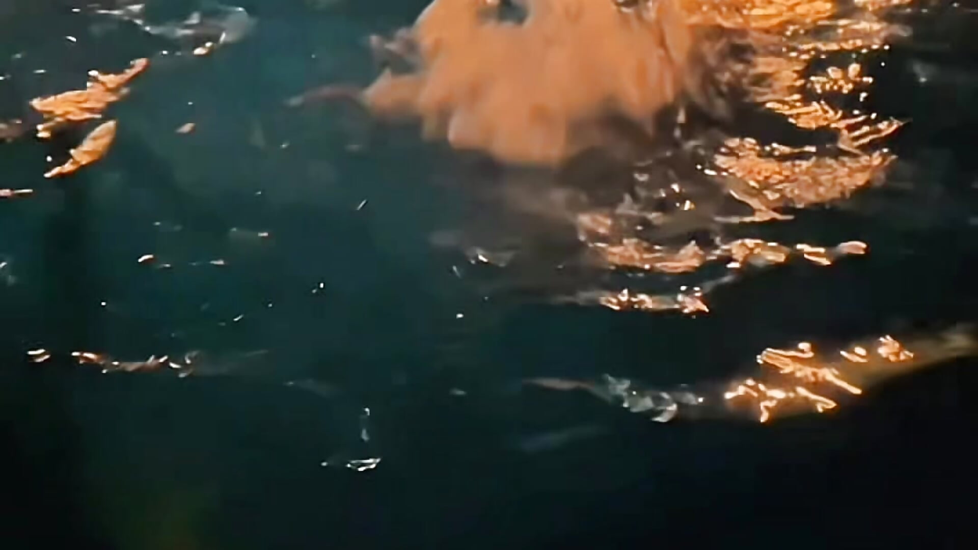 Pool - video by charlotteeruss cam model