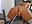 New Video fuck machine hot squirt - video by hotmilfbitch cam model