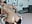 bis zum anschlag in die geile fotze - video by hotmilfbitch cam model