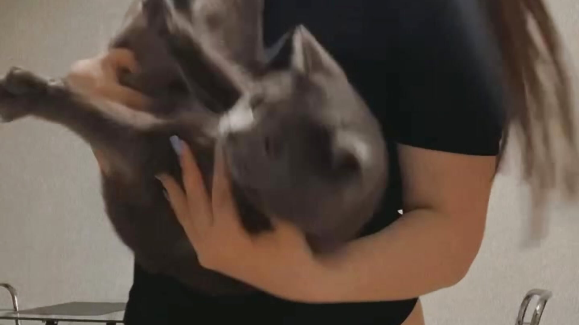 my lil sun - video by EmmyCharmm cam model