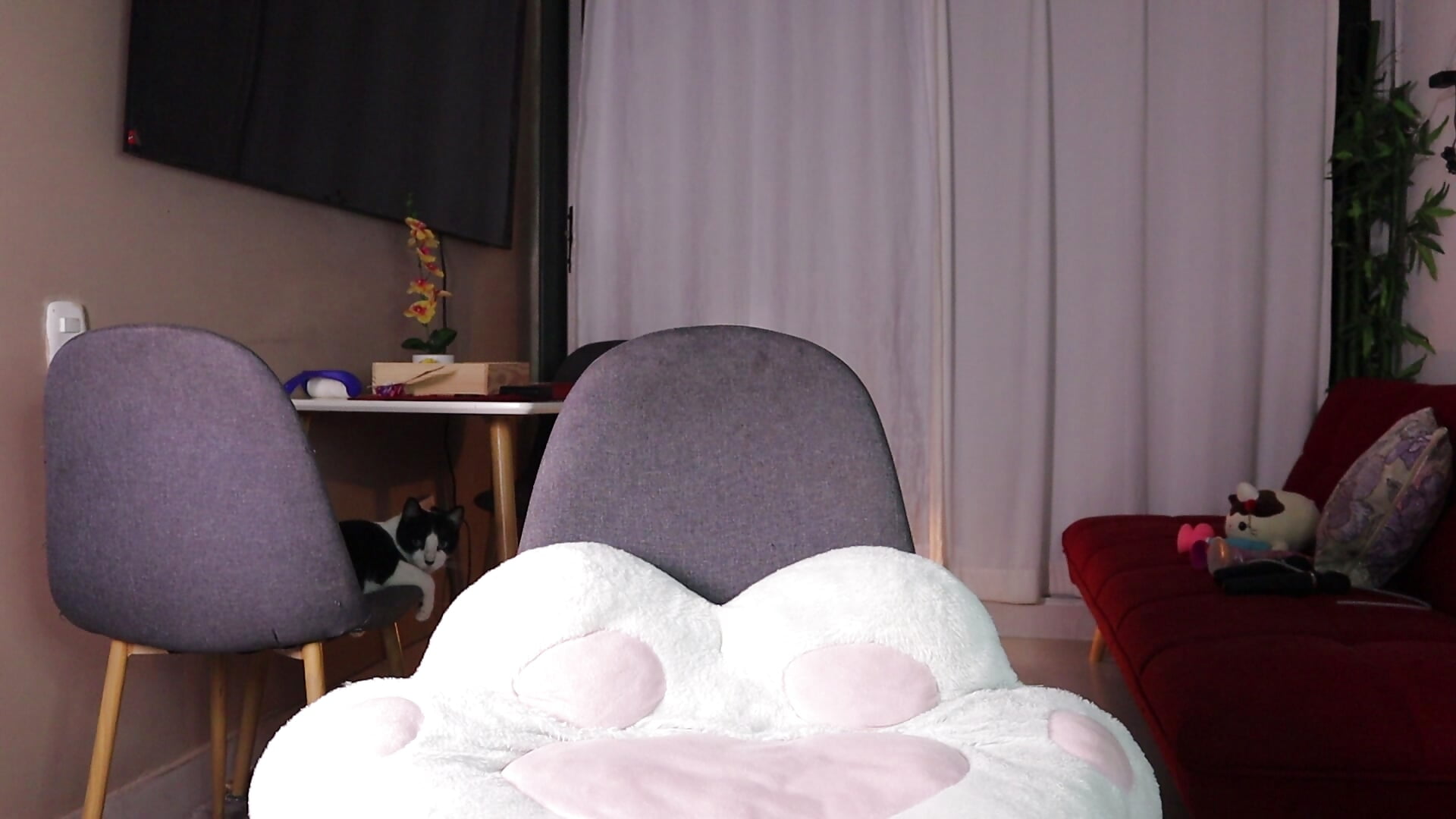 😻 – video af keissy_rincon_ cam-model