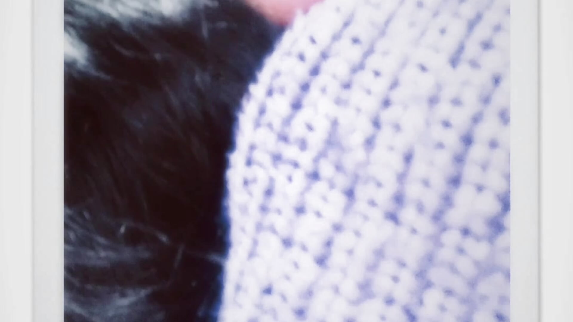 Cute — filmik limoncito_blossom, modela(-lki) na kamerkach