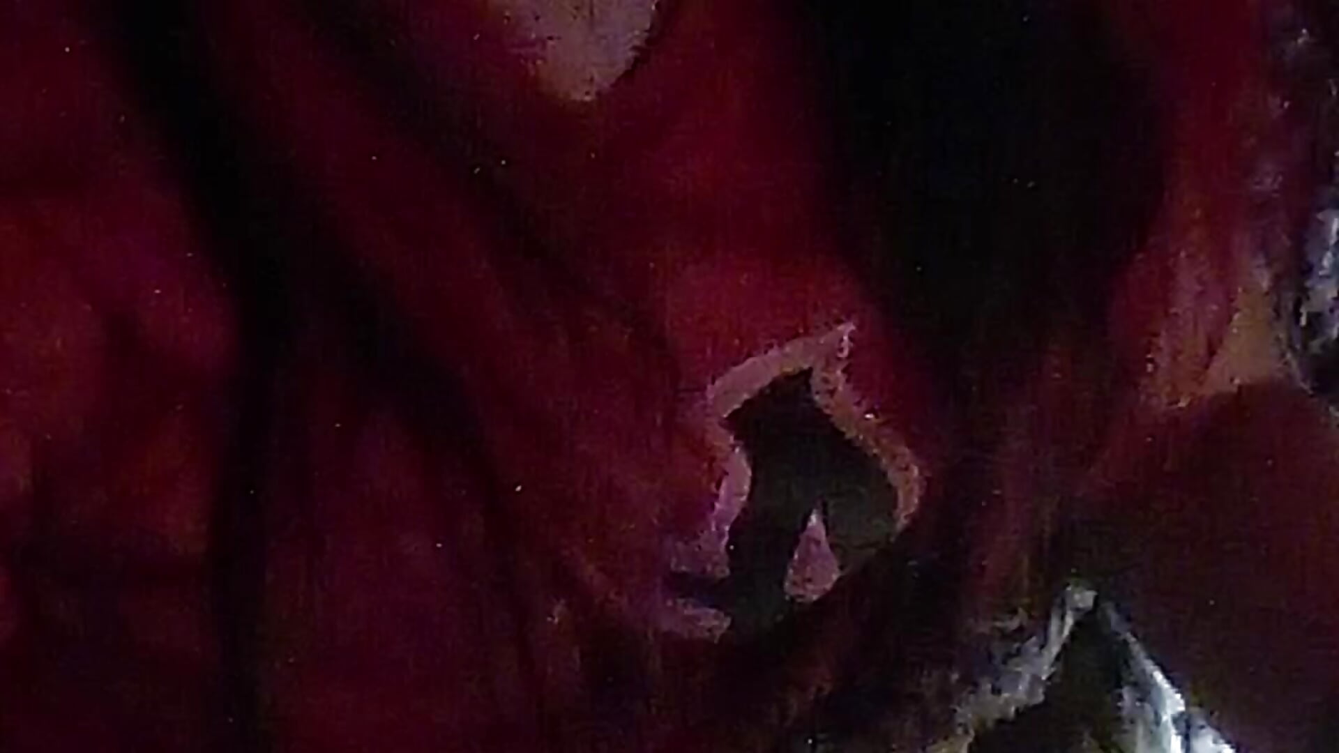 Just a bit of me - βίντεο μοντέλου dangereyez0010