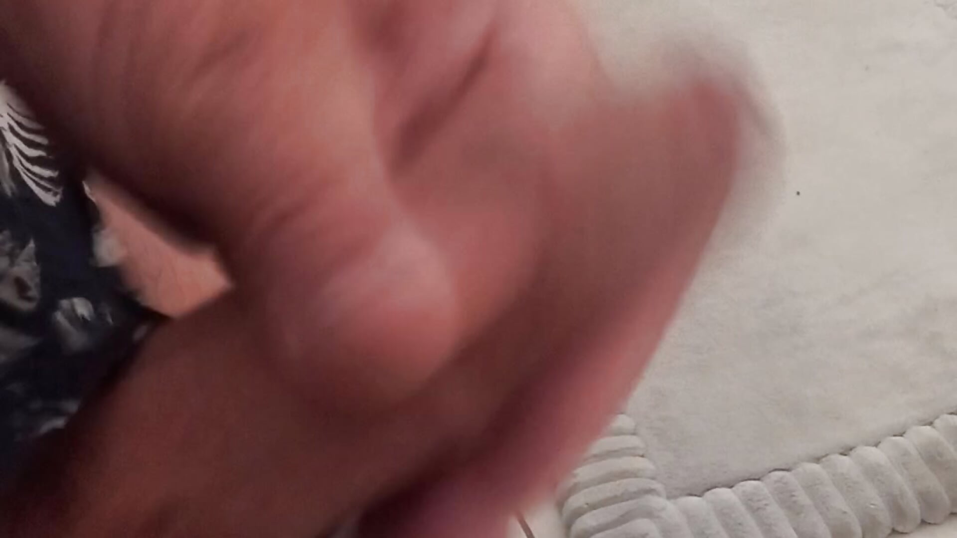 20230227_165732 - video by Cock-a-saurus68 cam model