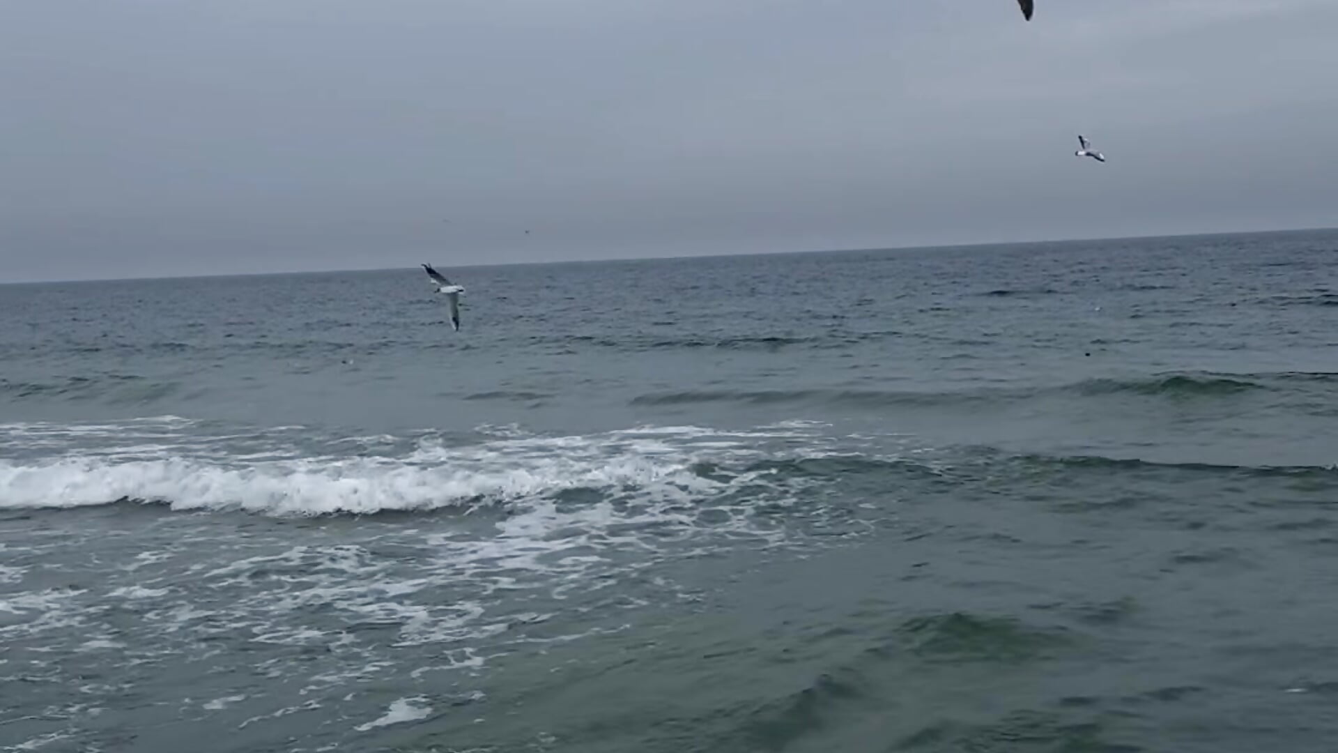 🫶🏻 - video by MilissaSee cam model