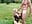 deepthroat and fucking REAL BIG DICK at the PARK - GoddessElizabethX 님의 동영상