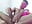 Vibrator toy in my ass Great orgasms - Vídeo de ken_rivera