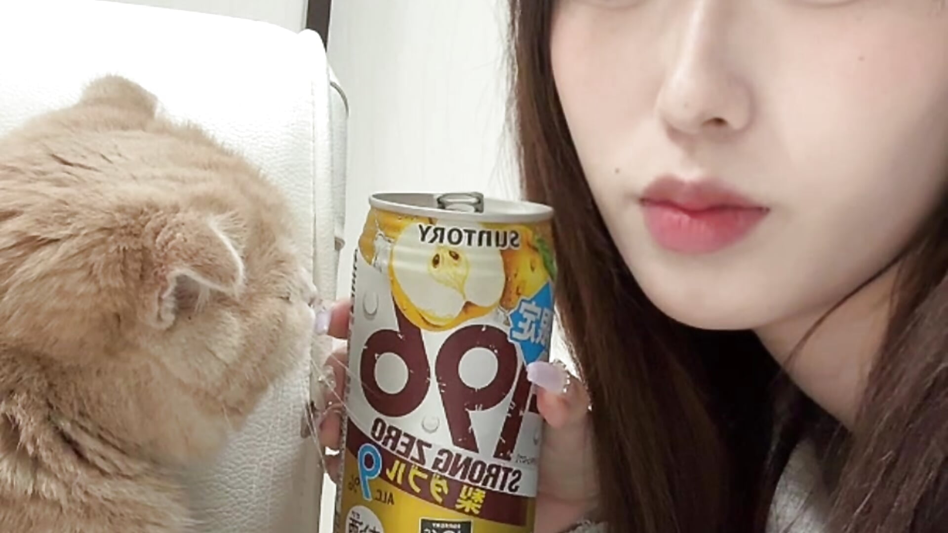 猫と酒かんぱい🍶