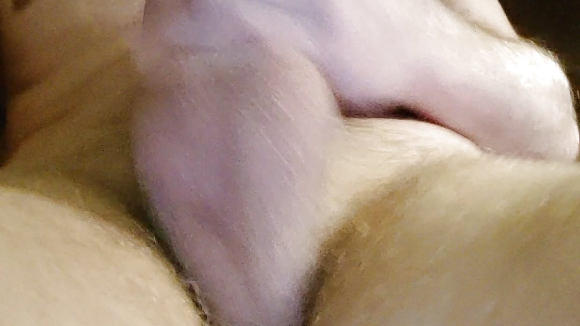 VID_20230225_023607 - відео від вебкаммоделі maciejos93