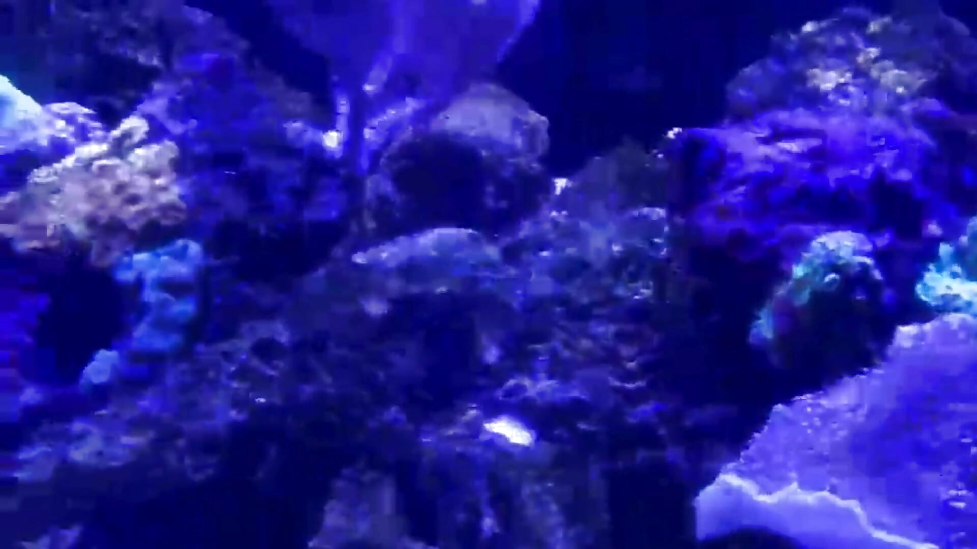 On my free day 🎇 - video by kiana_cream cam model