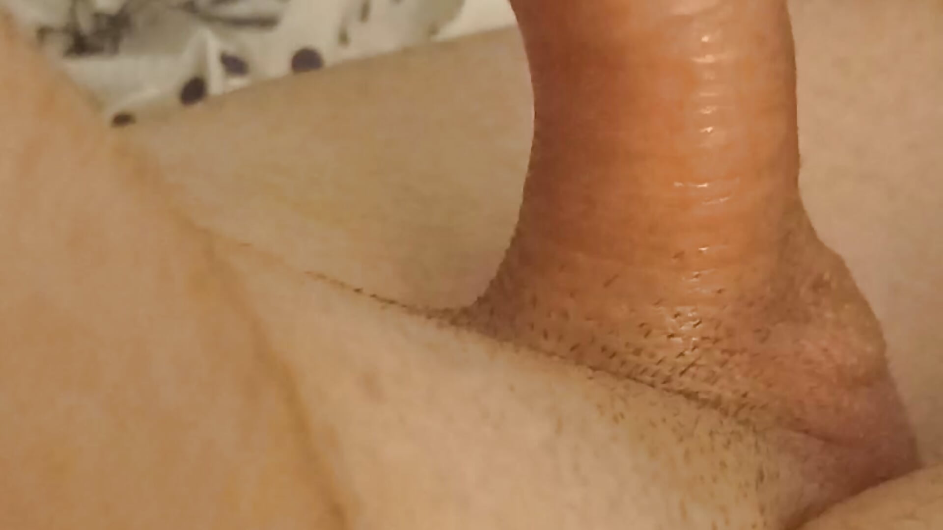VID_20230909_231302 – video af AMSC_69