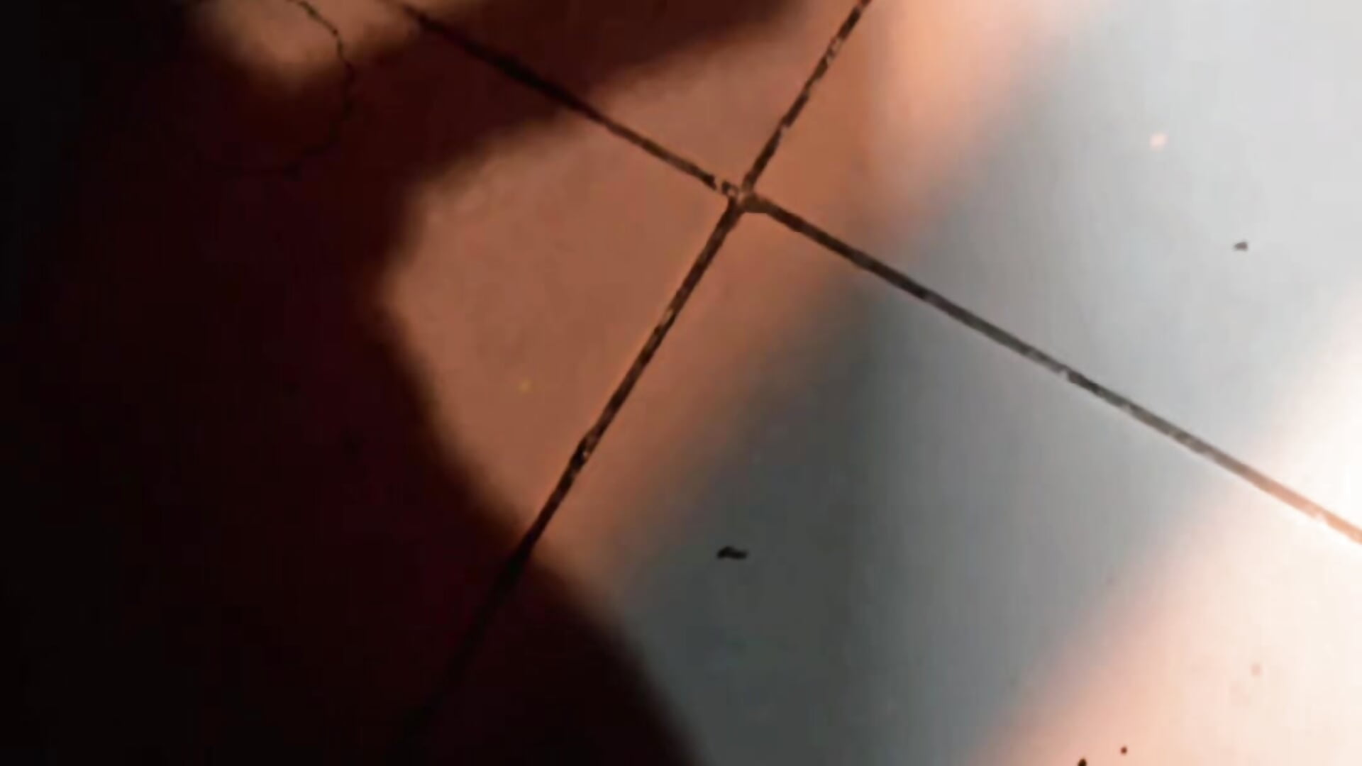 Lo quieres? - video by Aaron-and-Tonny cam model