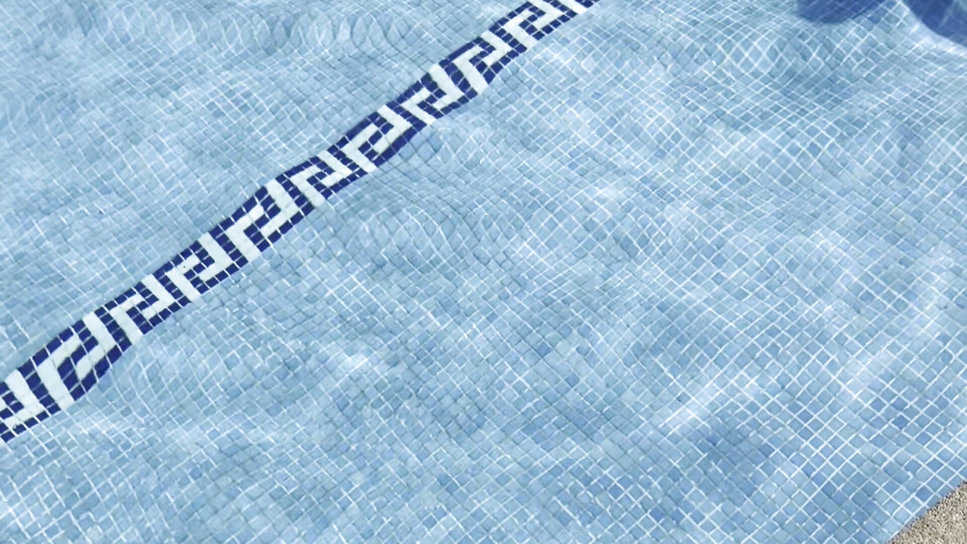 Hi 🐬