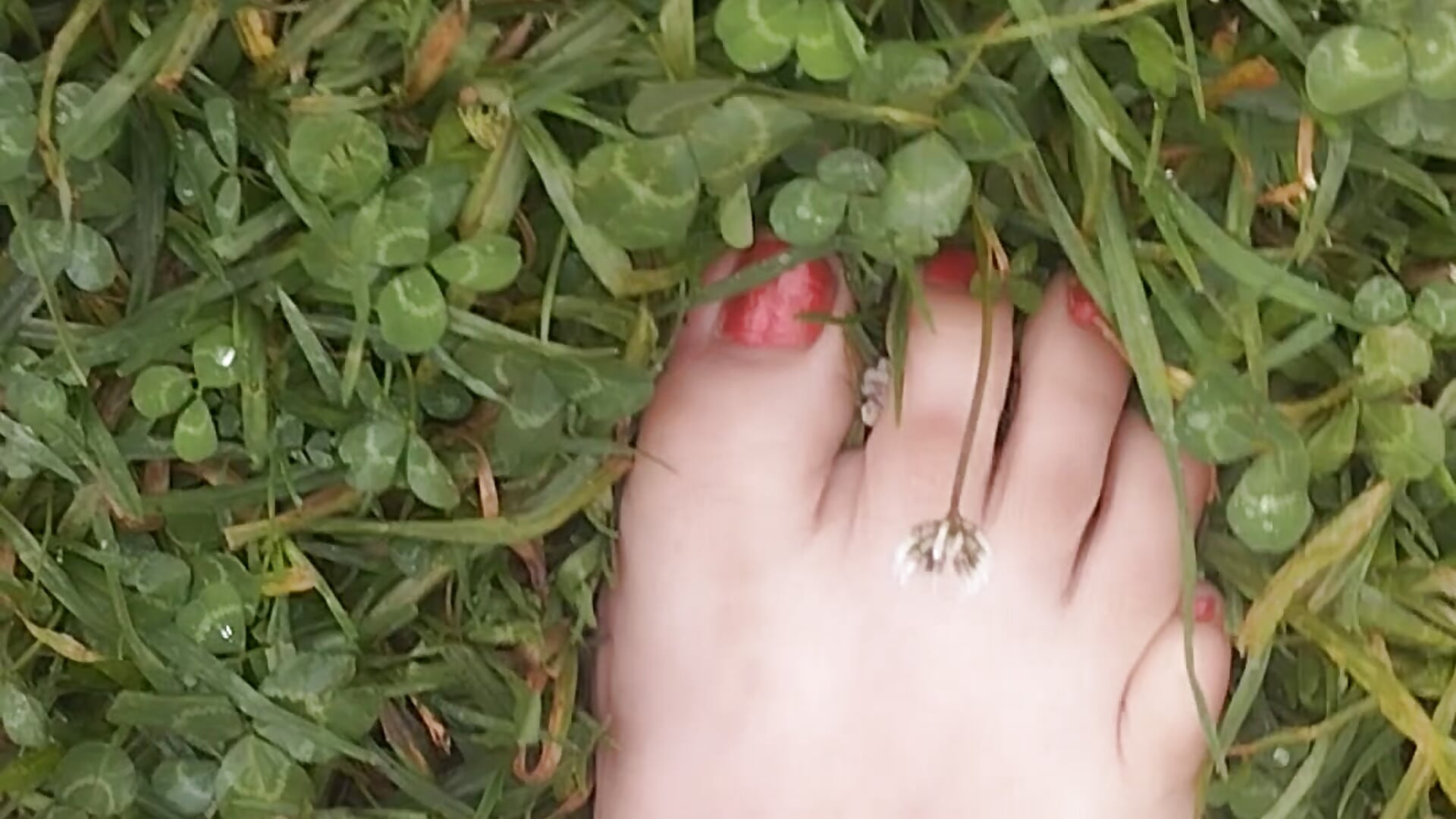 My feet on the wet ground and the wet grass