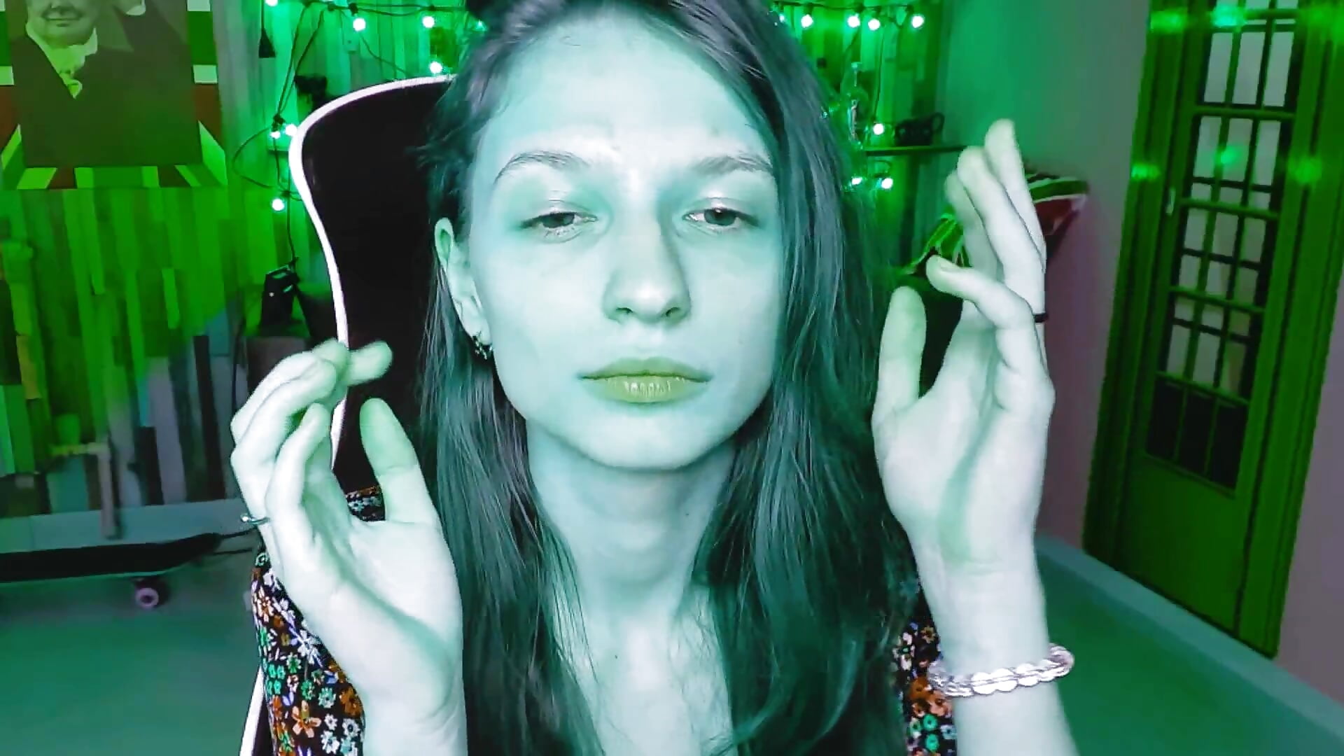 An evil witch or Shrek's wife?