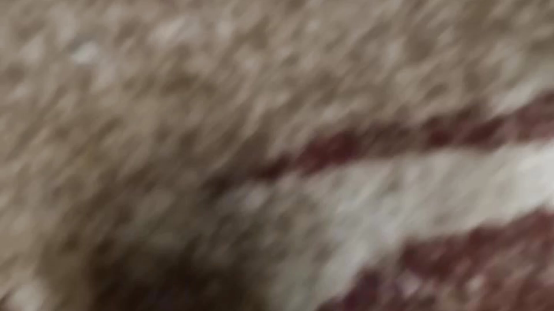 document_5298503988306519809 - فيديو من NinaBigCherry موديل الكام