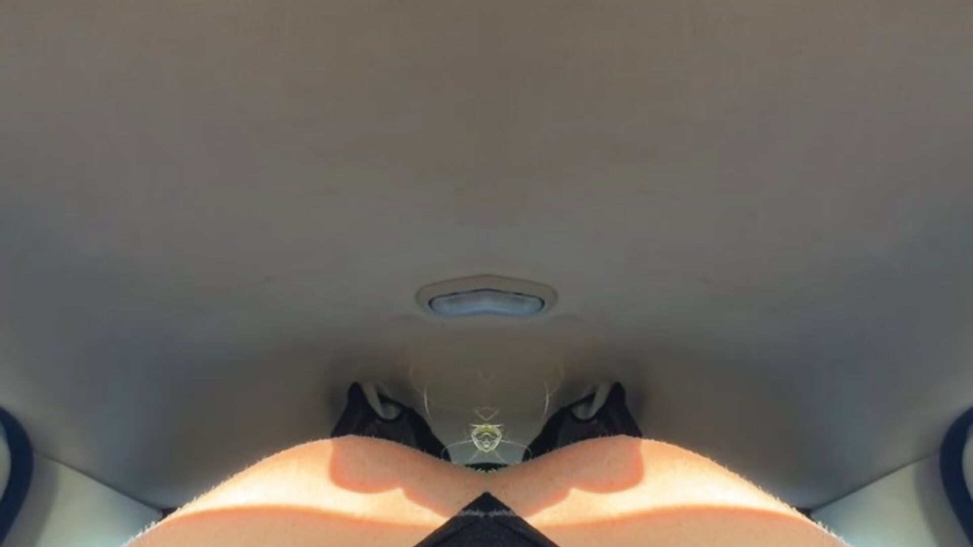 Perv. - video by ElsaGeld cam model