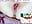 2025-05-09 12-20-42.mkv - video di MaryBrook1