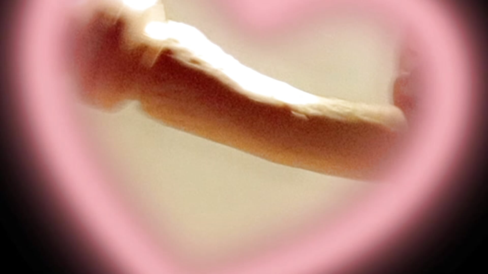 Snapchat-1910028480 - video by Vago6790 cam model