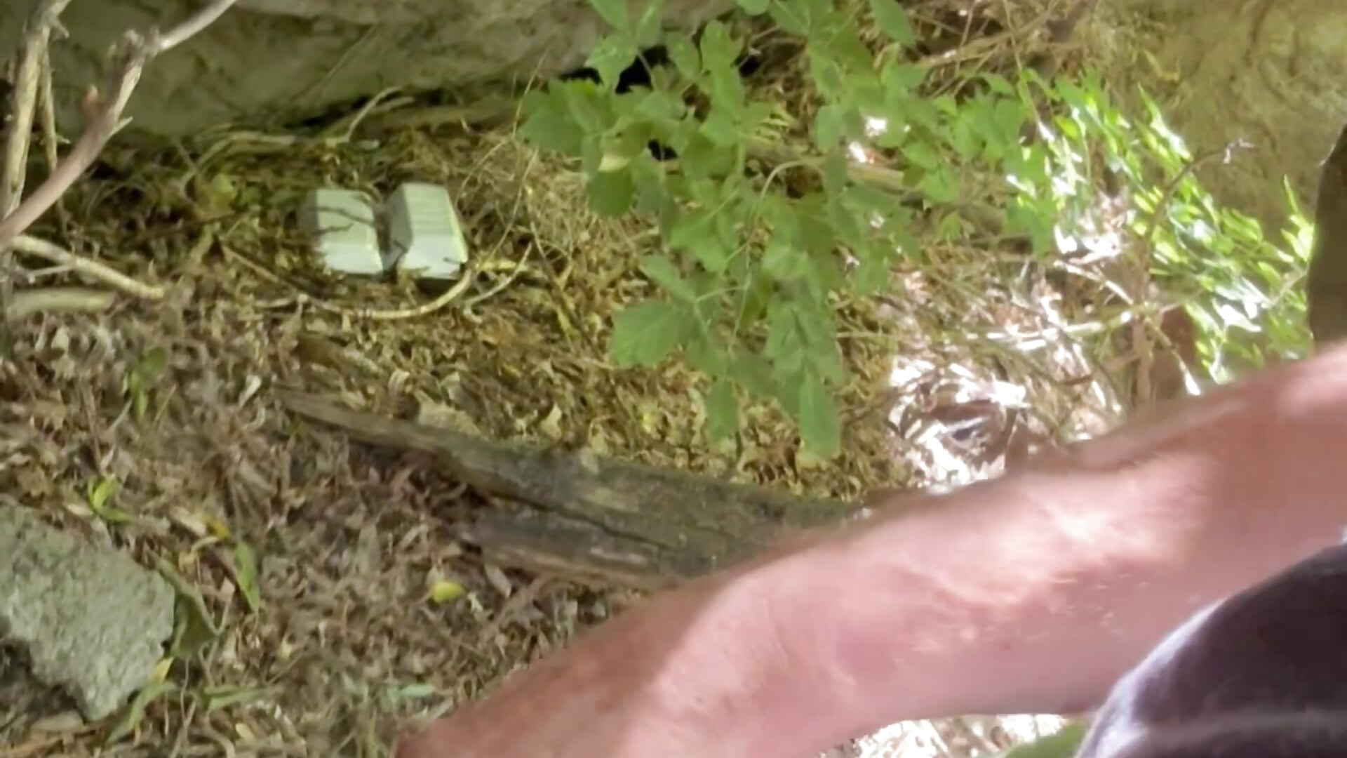 Teaser - Video von Followthepiper Cam-Model