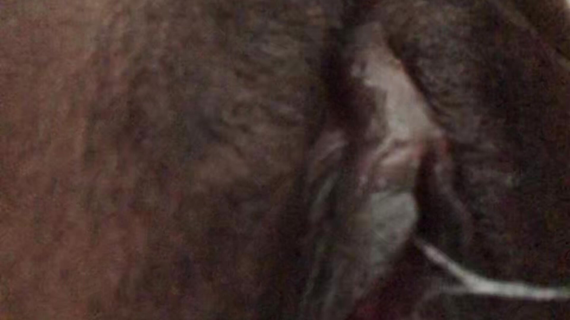 Wet Wet