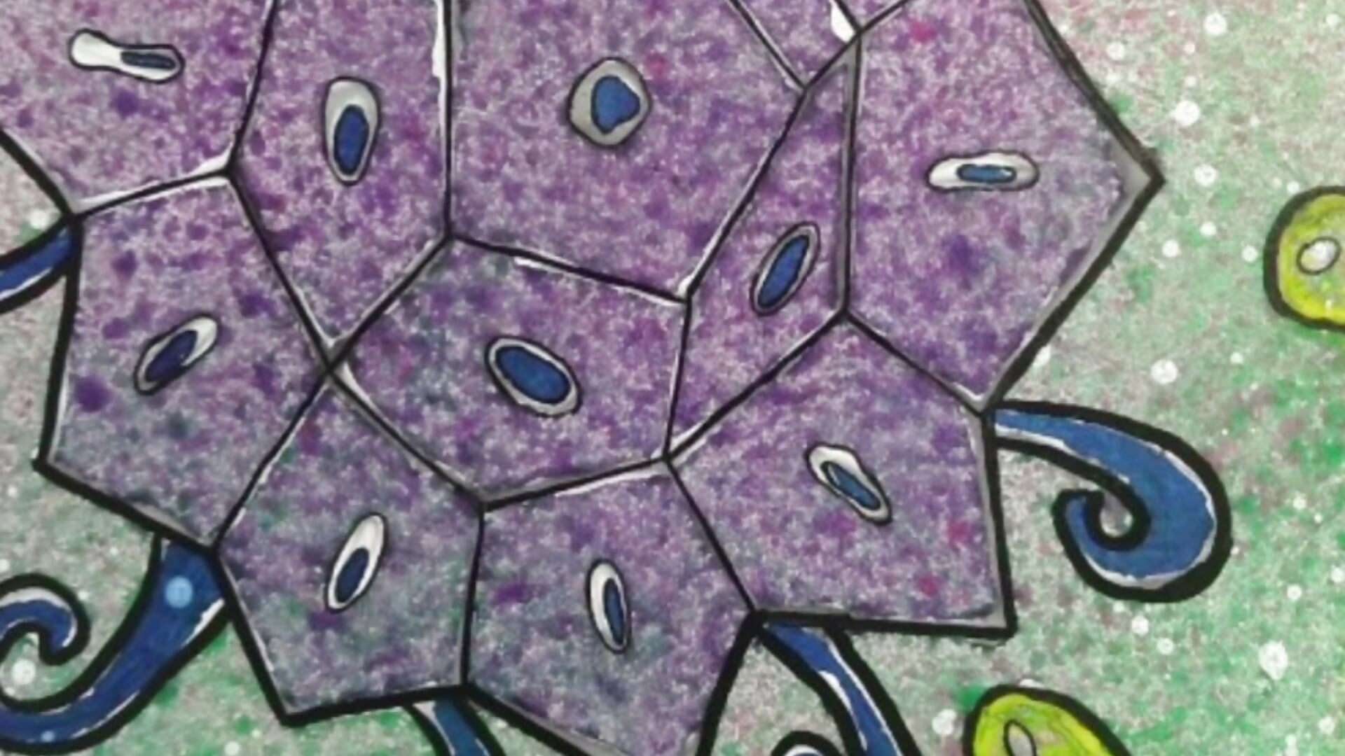 Splash of Color 2023-2025 - video by Evalain_shadow cam model