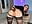 HOT ANAL SHOW WITH DILDO IN DOGGY, UPSKIRT ANAL AND BLOWJOB CLOSEUP - vídeo de freiiaflower modelo de câmara