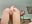 4 fingers in ass naked in doggy - XXX video by freiiaflower