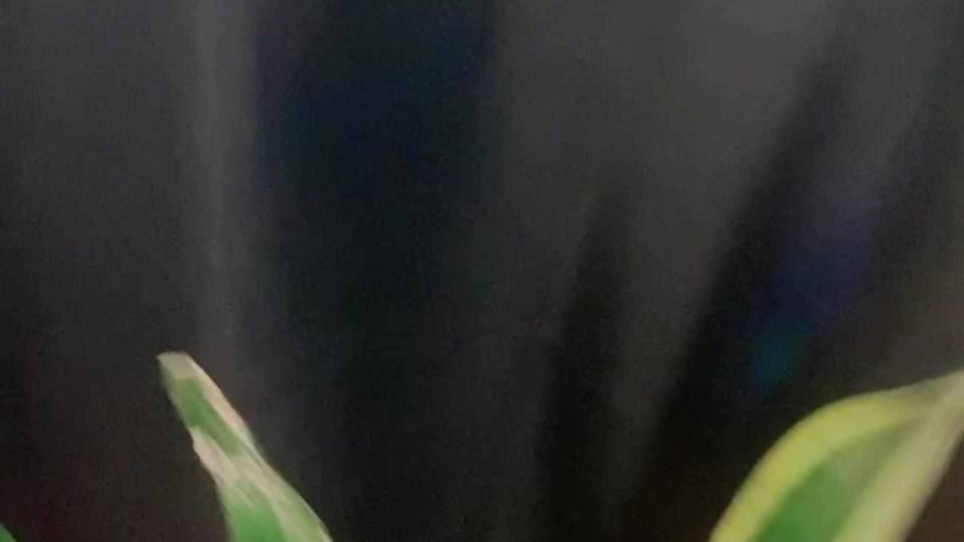 Rainy day, who accompanies me 🌧️ - video by tina_olsen07 cam model