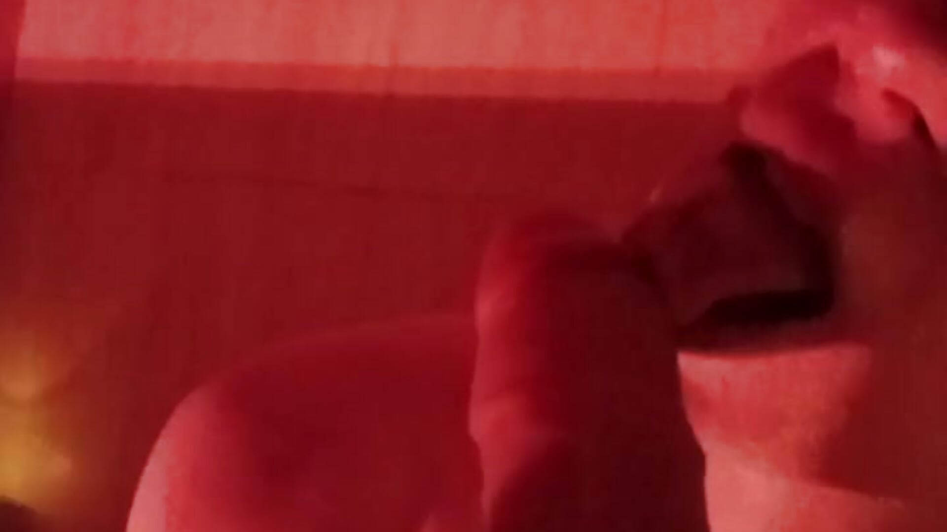 Blowjob in the bathroom POV - Video von _Rein_ramm Cam-Model