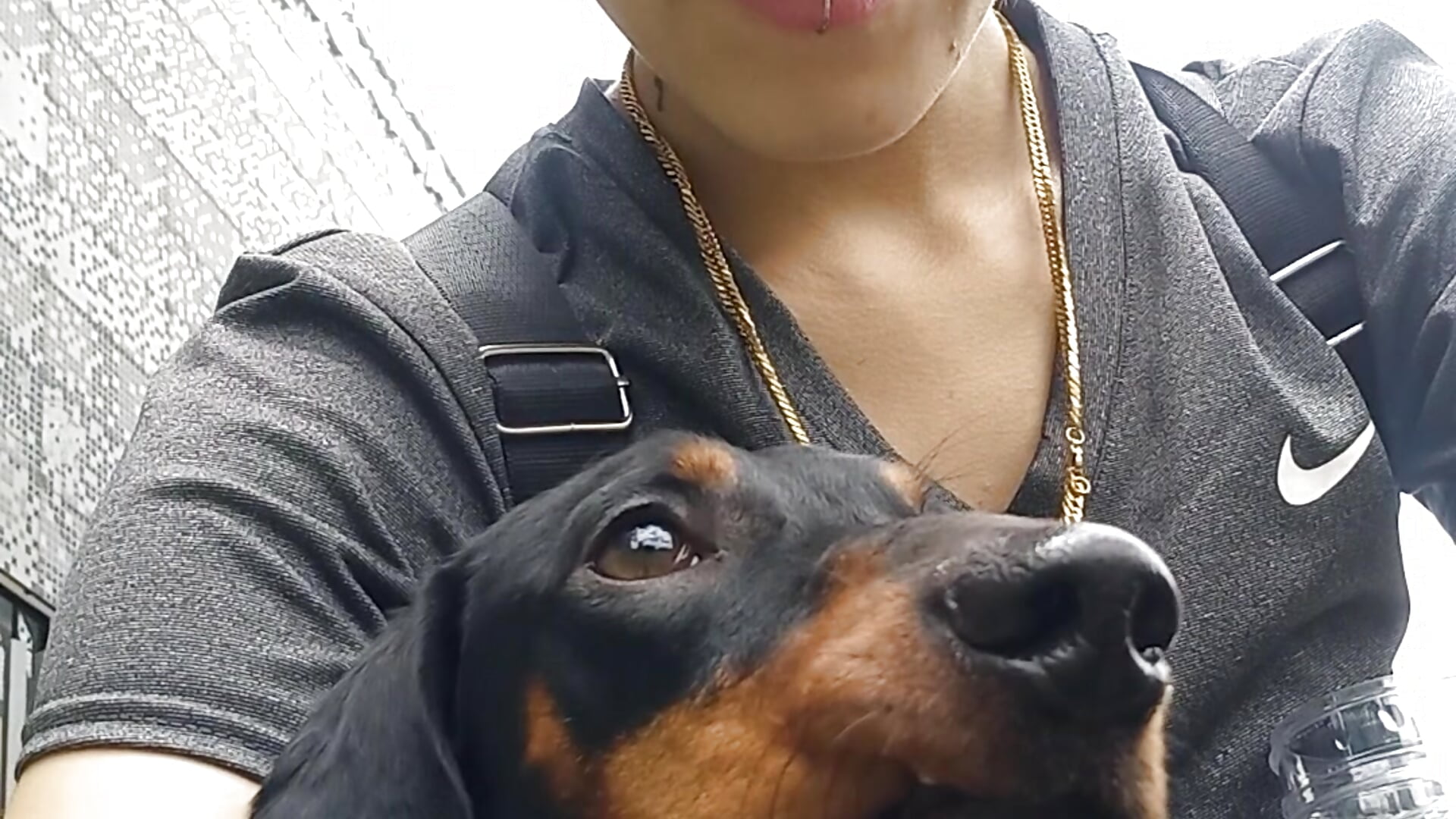 Whit my dog bacon - video by lena_c_x cam model