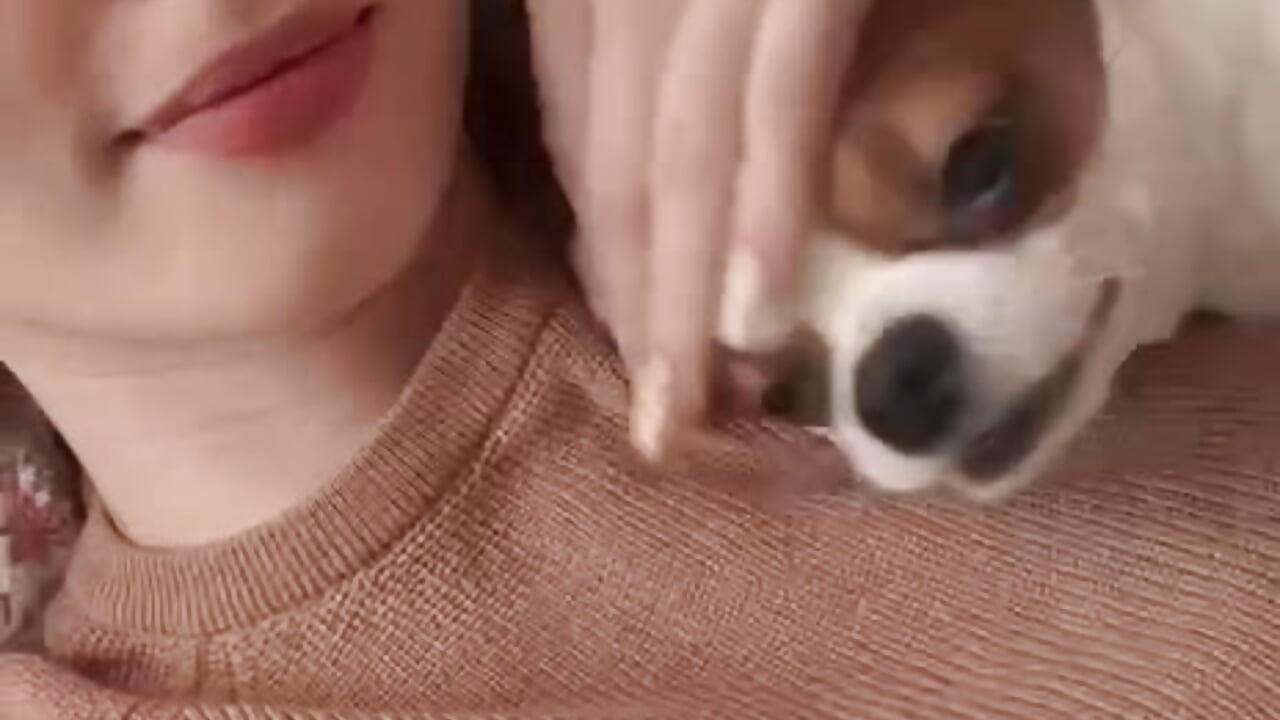 My pets ଘ(੭ˊᵕˋ)੭* ੈ