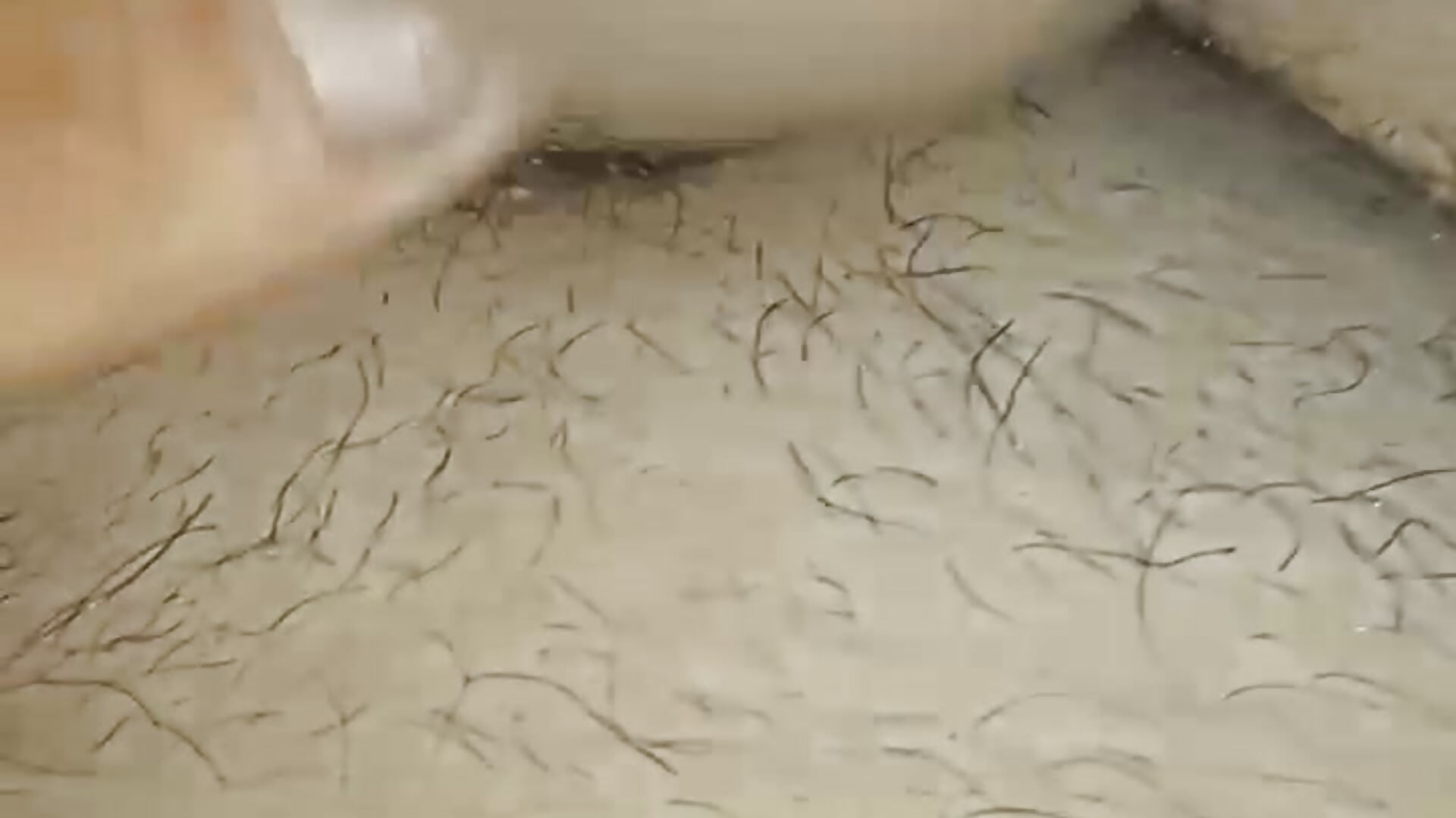 C4_1754950095342 - video by dotatoagropoli cam model