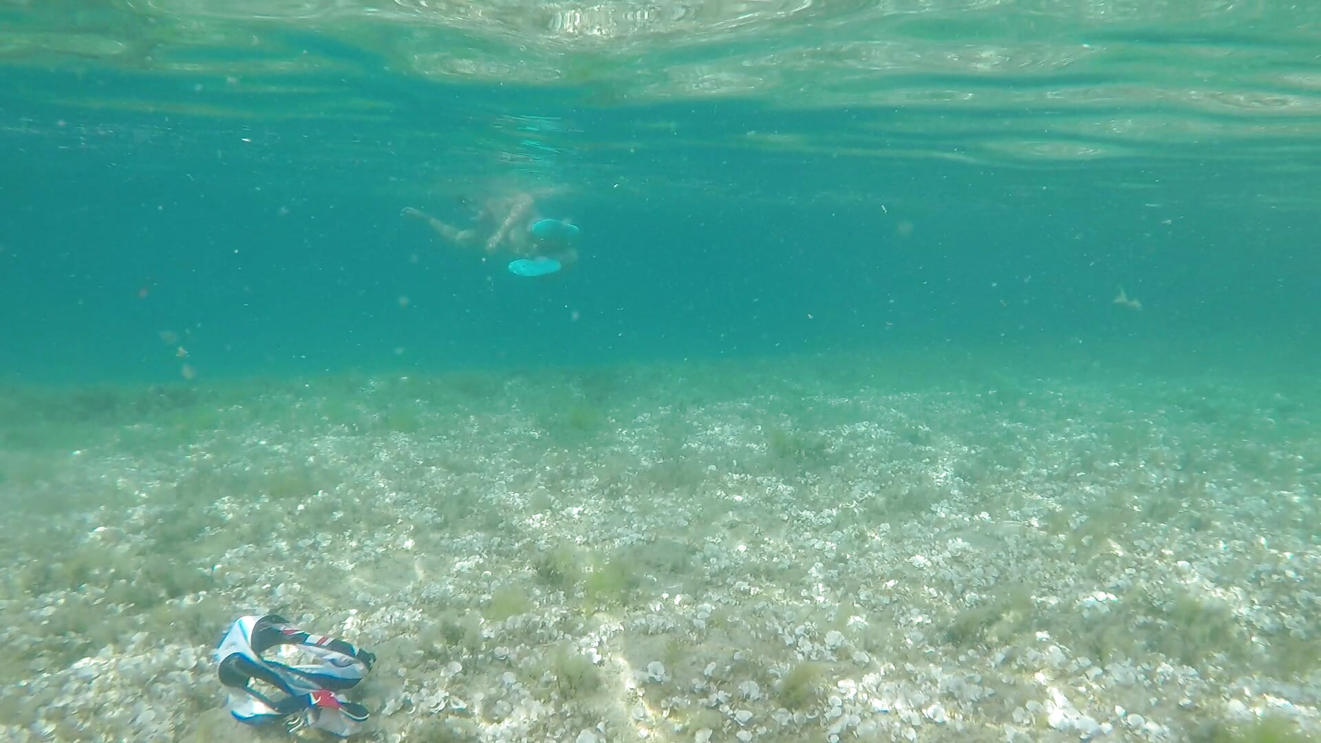 Swimming and snorkeling naked...I love that feeling.－カメラキャストのBrutusK08の動画