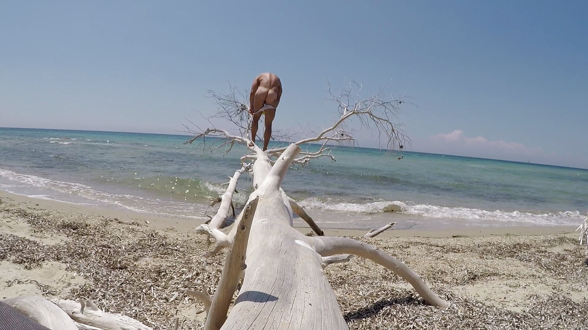 Testing my balance on this tree. How am I doing?－カメラキャストのBrutusK08の動画