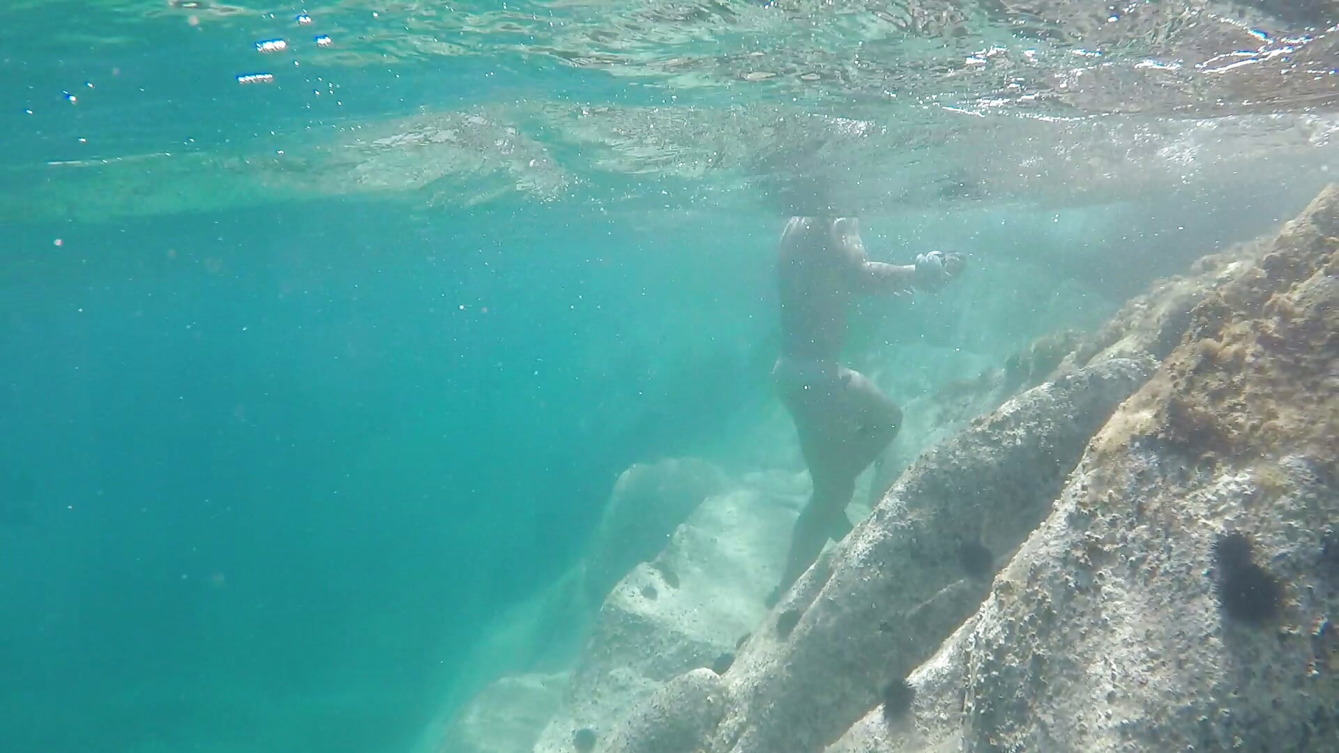 Almost got stung by a sea urchin whilst swimming naked.－カメラキャストのBrutusK08の動画