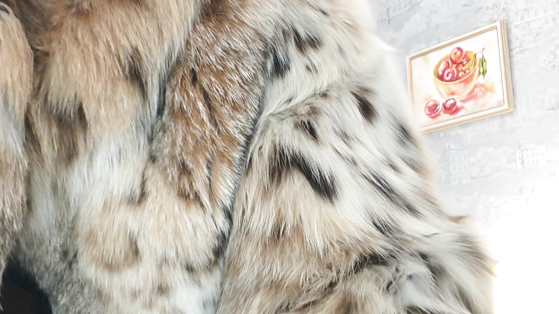 change fur coats