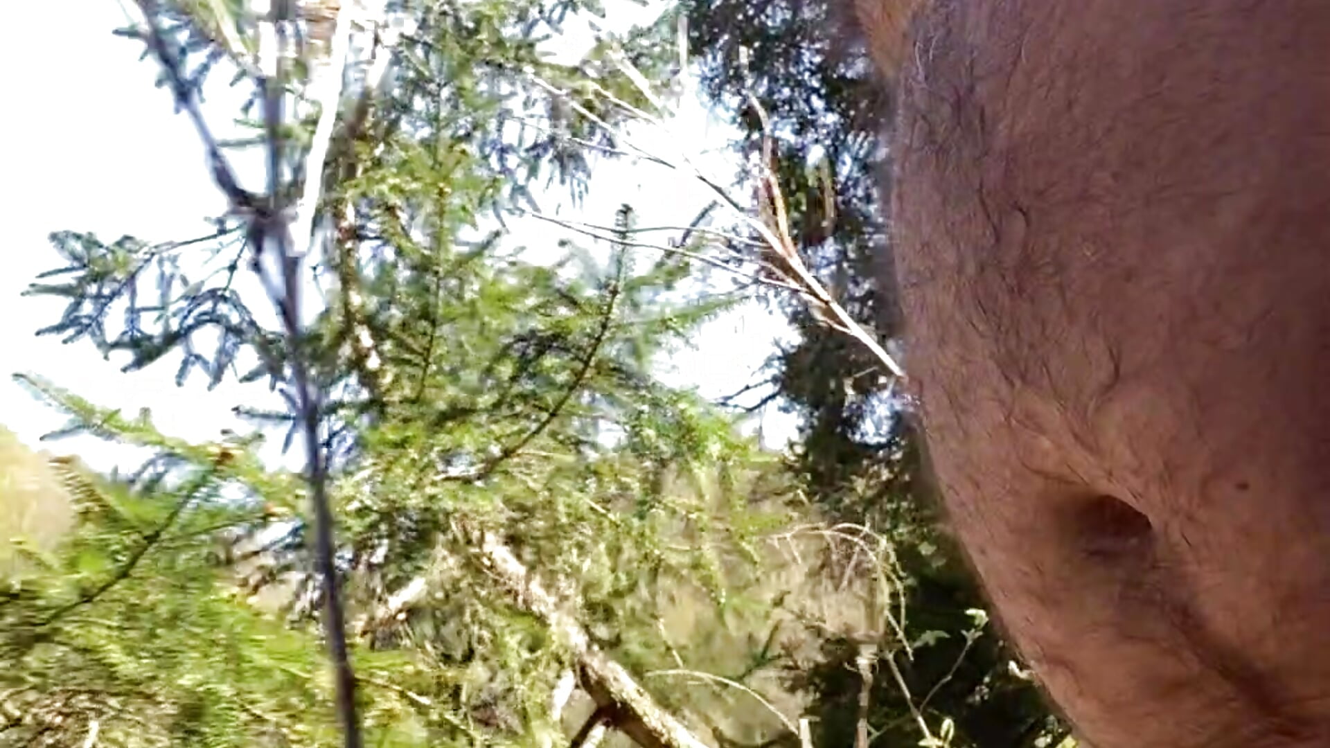 naked hike - βίντεο μοντέλου artXhibitor