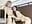 Ally & Evie hot making out & scissoring🔥🔥4K - video by EvieEvans cam model