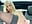 Finger pussy + cum in my car on a public parking spot - video by EvieEvans cam model