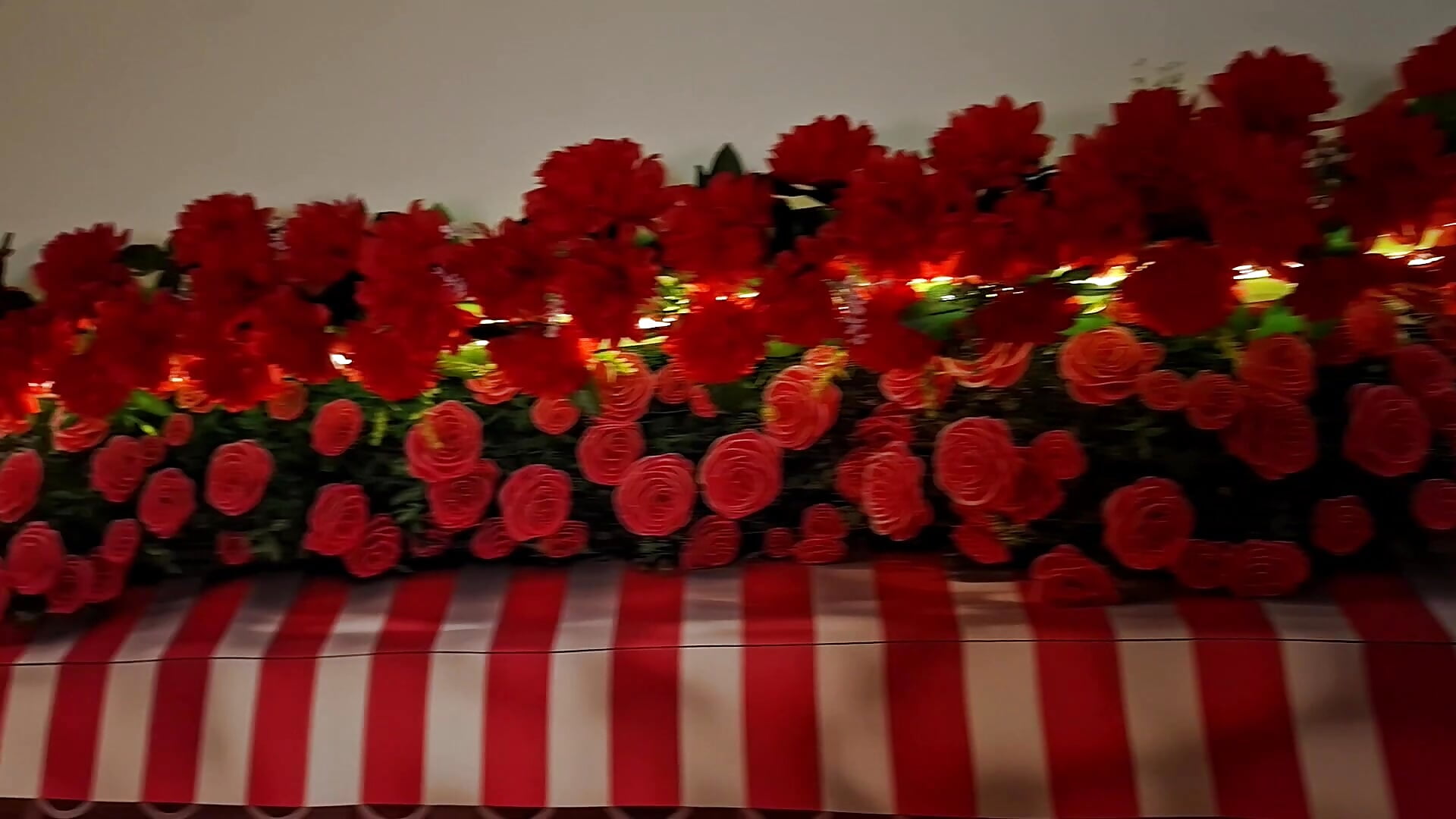 San Valentin - video oleh NaomiShimizu kamera model