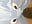 Funny Boxershorts are you like it 😝😍😍👀 - video by secret_dream415 cam model