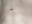 Schön Viel Sperma😏🥵schaut es euch an 🥵🥵 - video by secret_dream415 cam model