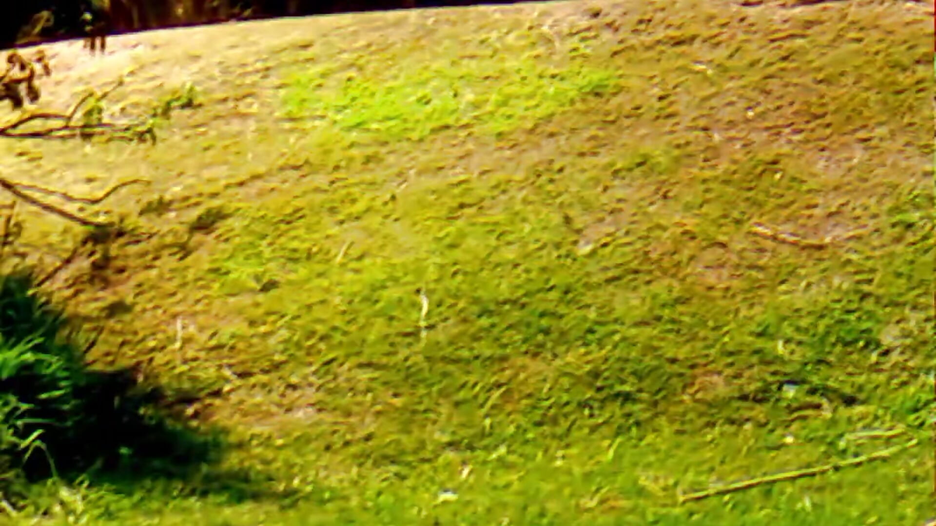 OutDoor Chill - video by KenAmateur cam model