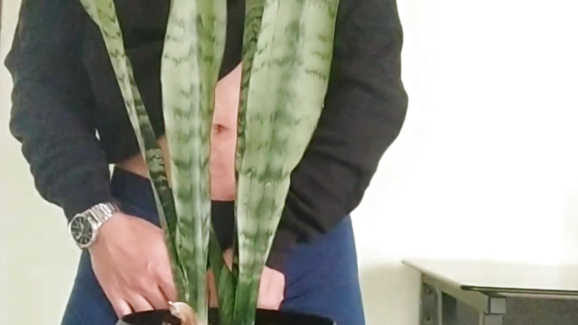 Lol - video by Tommhot cam model