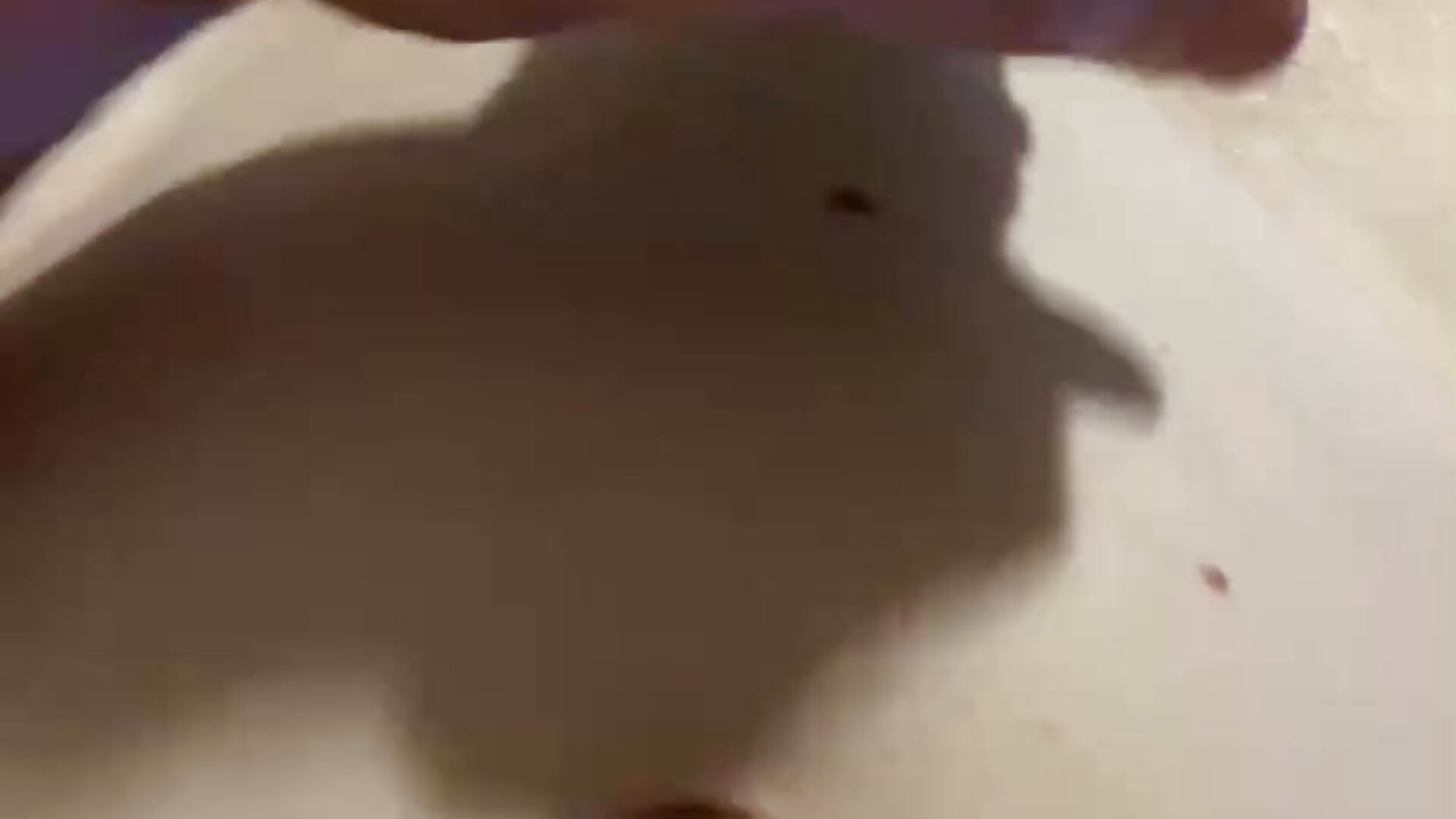 Sneak peak - video oleh fuckwithme2456 kamera model